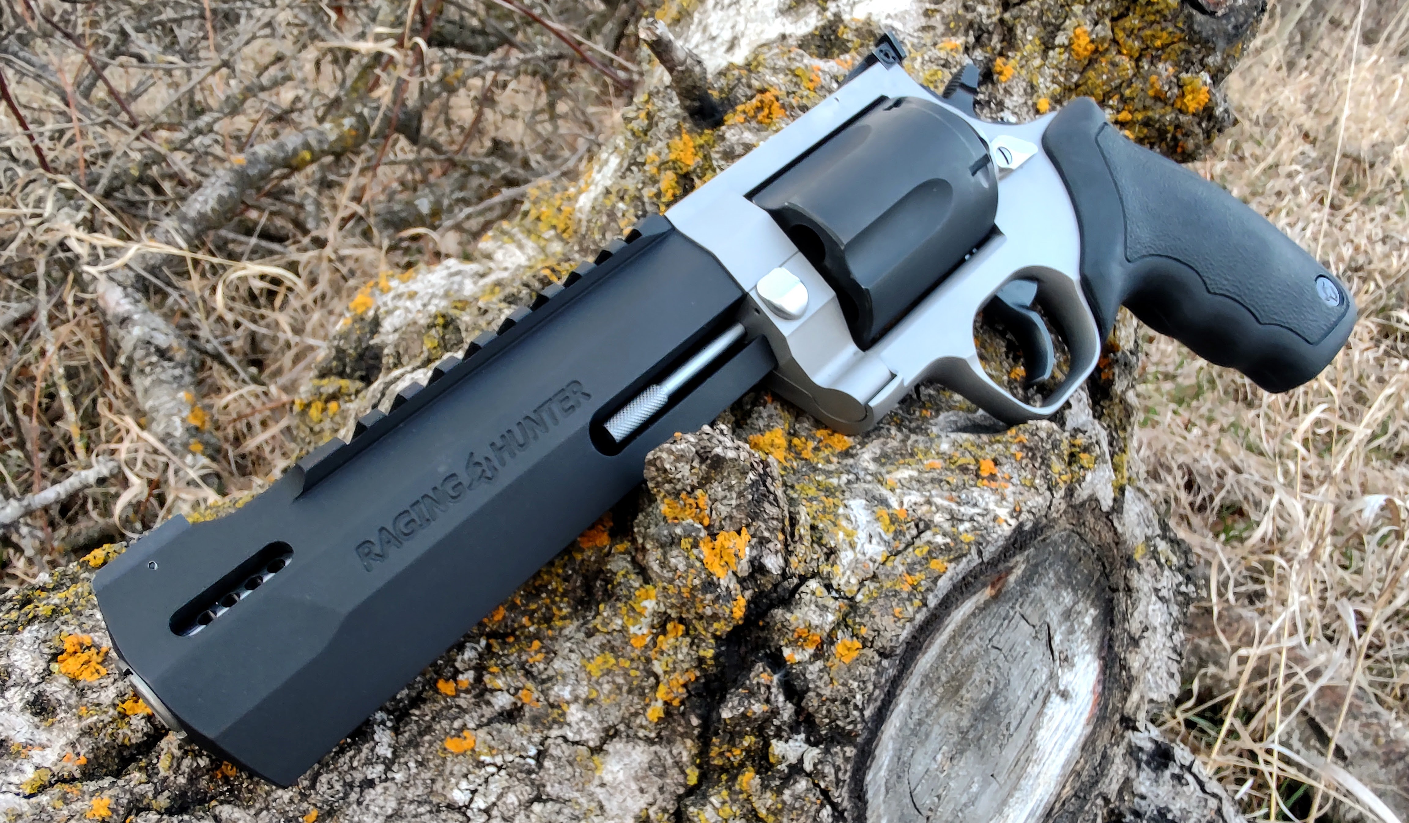 Blog # 142 / / Taurus Raging Hunter 460 Tyrant EDC
